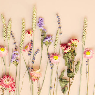 Dried Flower Gift Box Pink