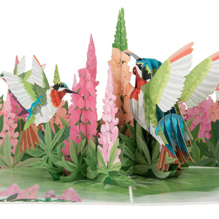 Hummingbirds Pop-up Cards