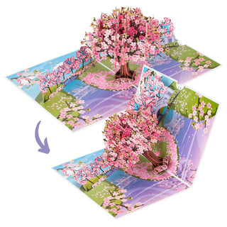 Cherry Blossom Pop-up Card